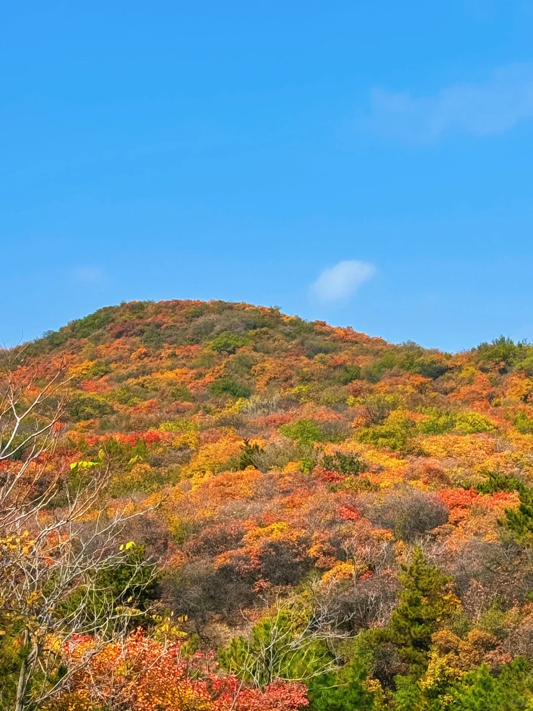 🍁太原龙山|10.25实时美景攻略，层林尽染