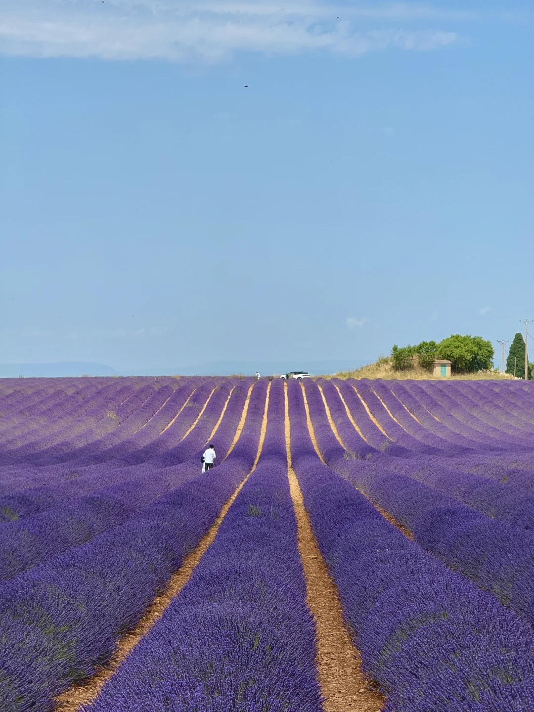 一个人旅行🇫🇷一年飞了两次南法，后劲好大