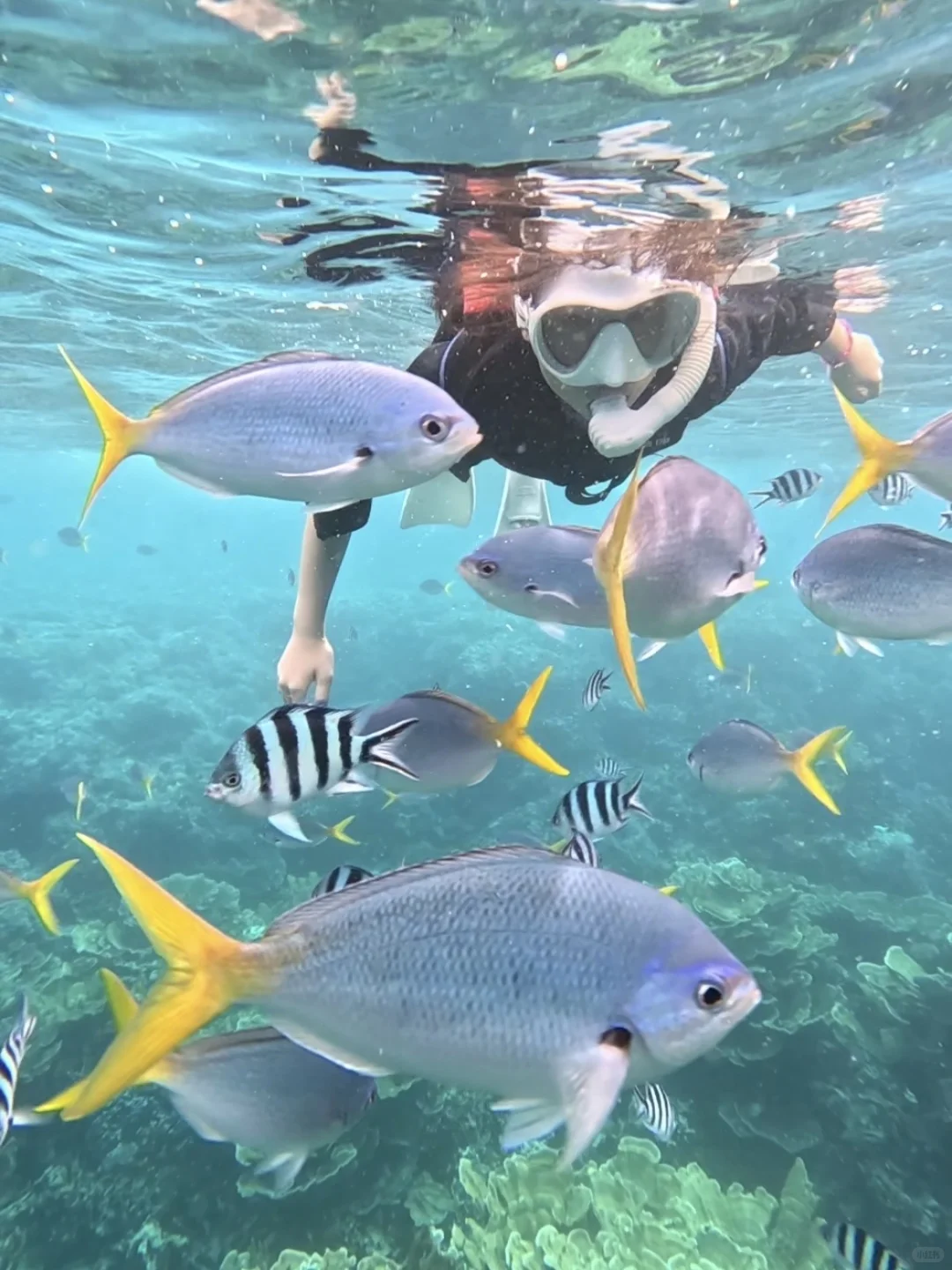 免签海岛🇵🇼机票+酒店+出海，全包6680元起