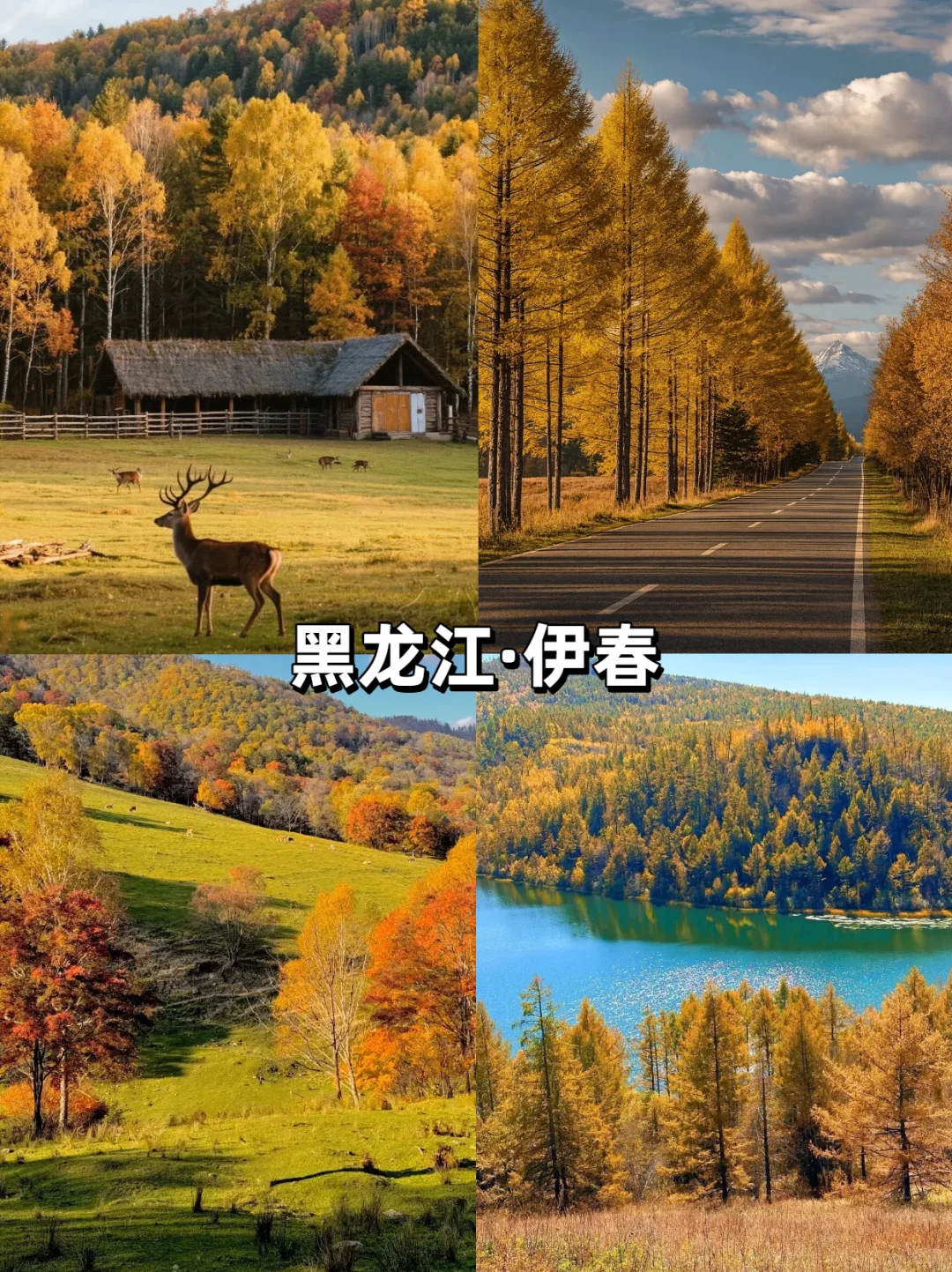 【10-11月国内旅行天花板】最后一个绝