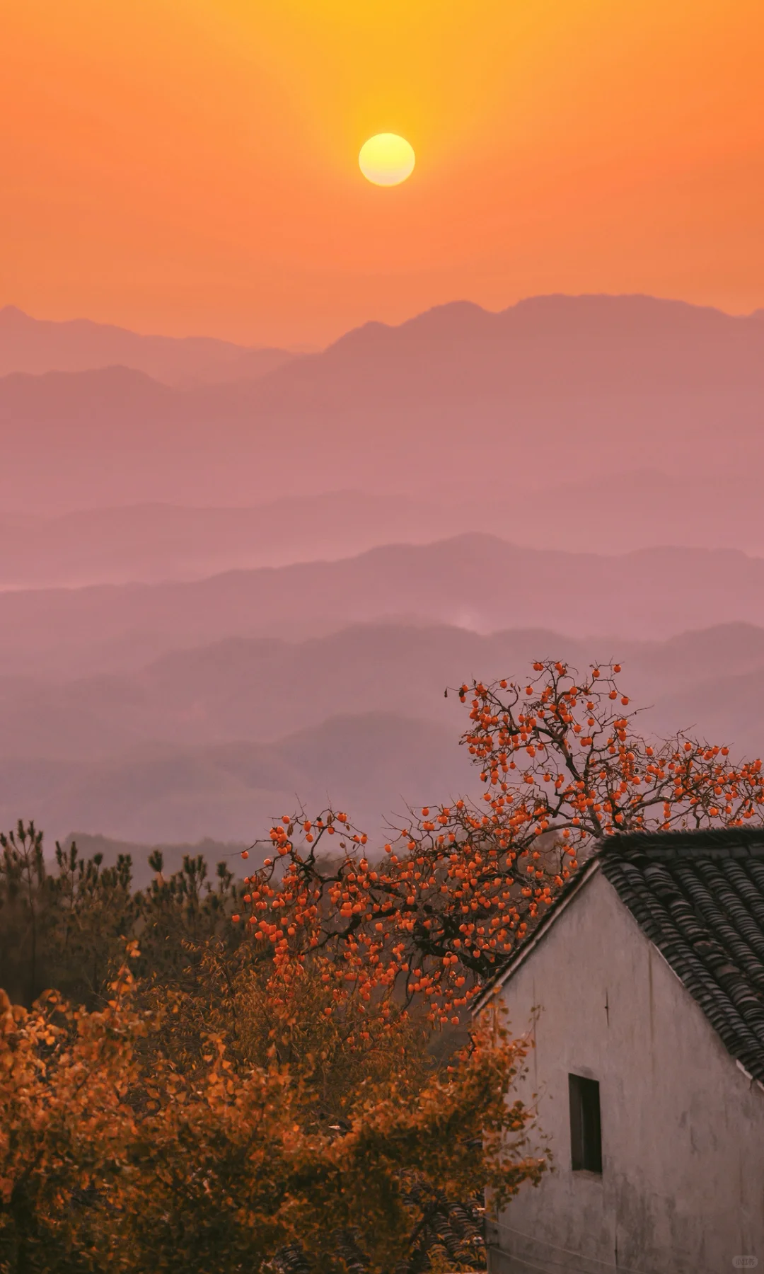 接下来是徽州封神的秋天,期待值已经拉满了!