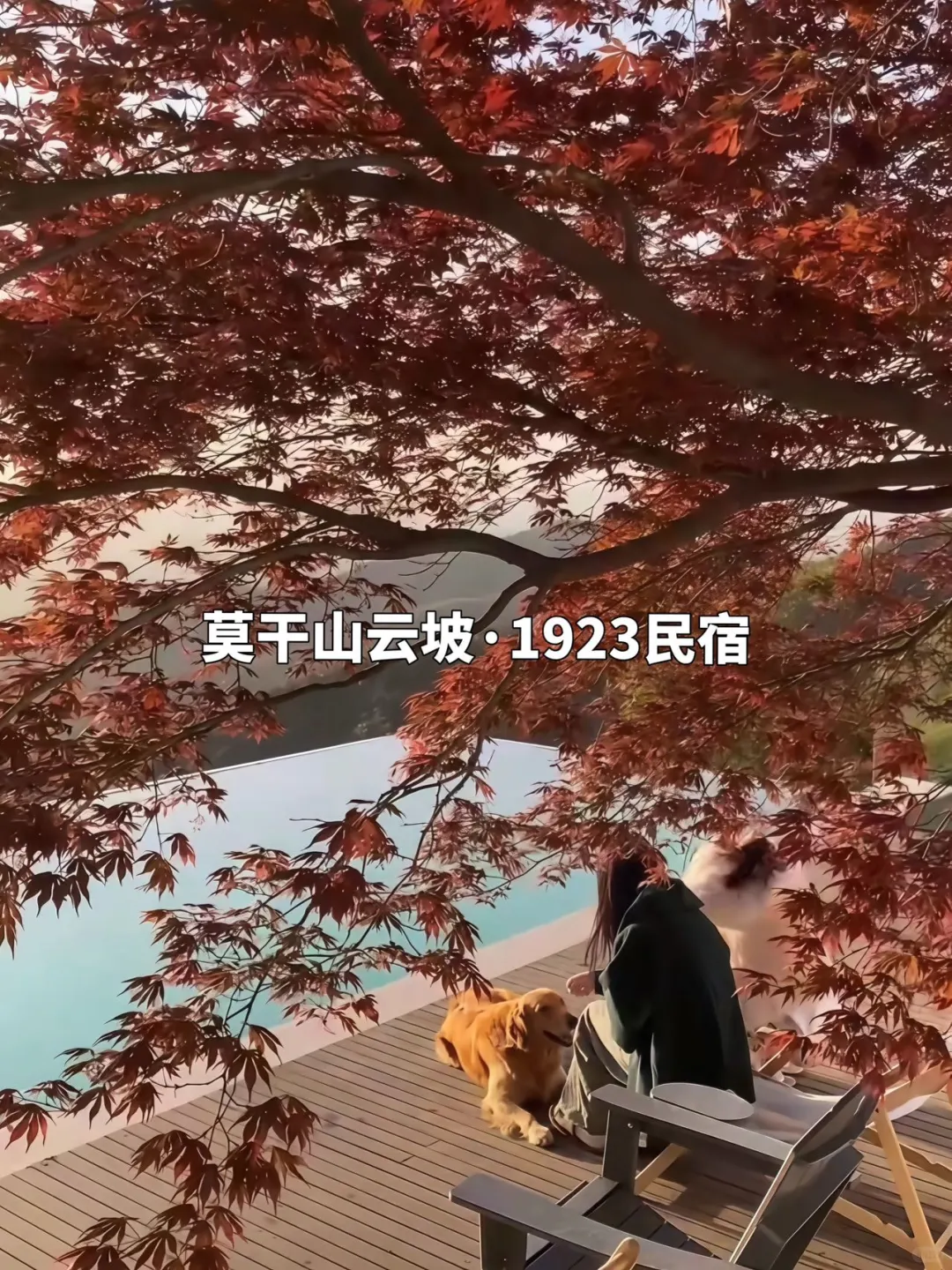 莫干山9️⃣大必打卡赏秋景点攻略躺看秋色