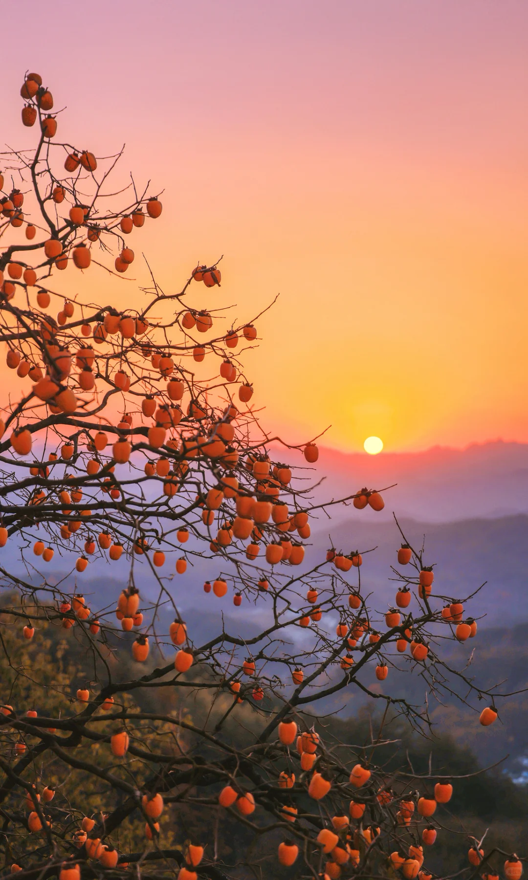接下来是徽州封神的秋天,期待值已经拉满了!