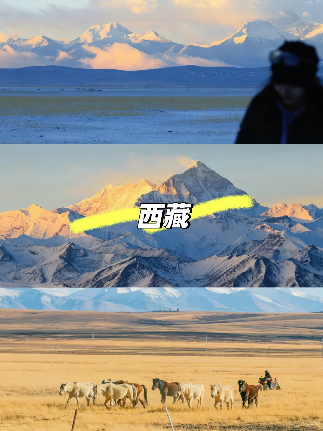 怎么选?谈谈国内三大天花板的个人感受