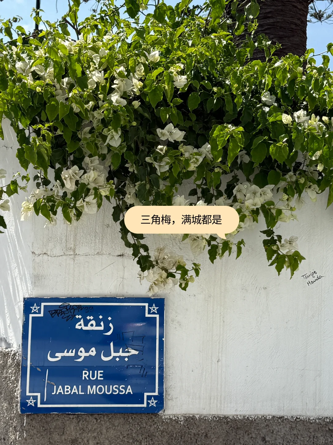 摩洛哥Rabat，太多的出乎意料。