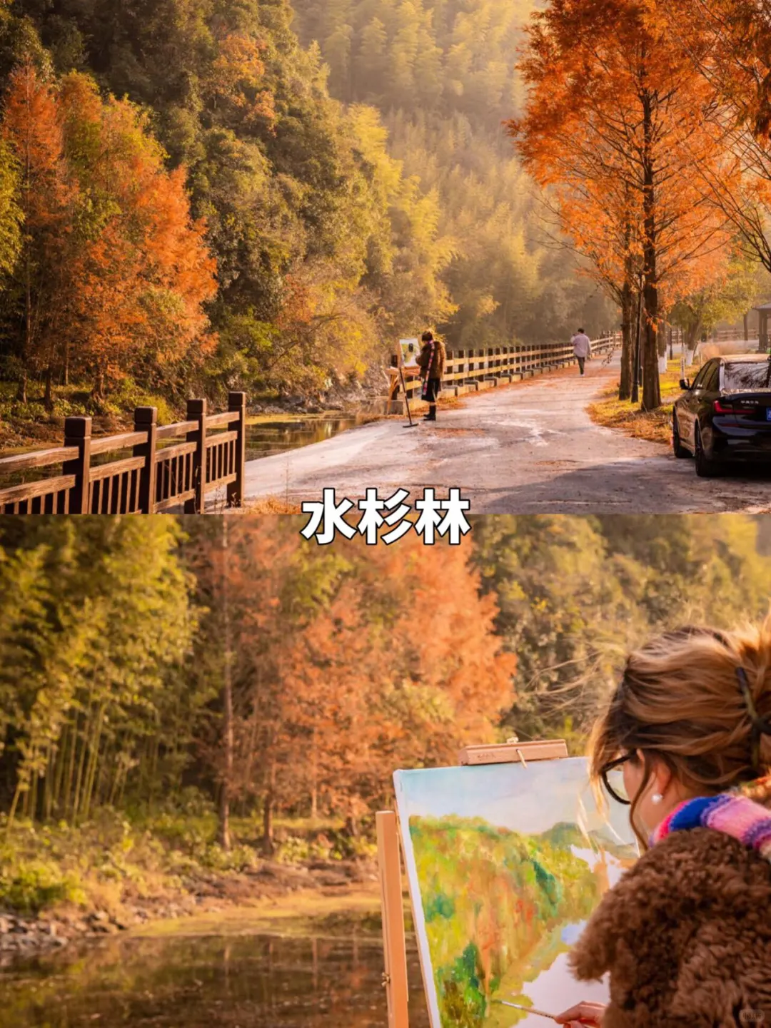 莫干山9️⃣大必打卡赏秋景点攻略躺看秋色