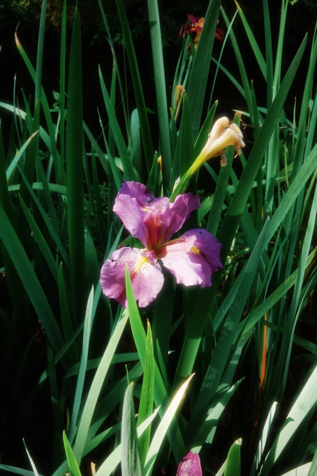 被景德镇硬控的两天(舒适完整版)👈🏻