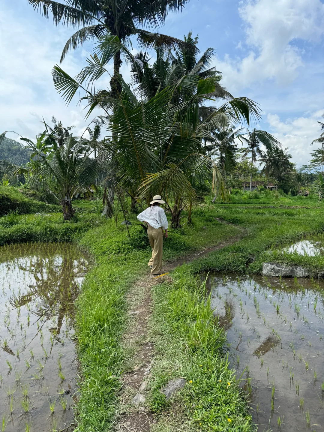 乌布梯田小众景点：Sidemen梯田攻略