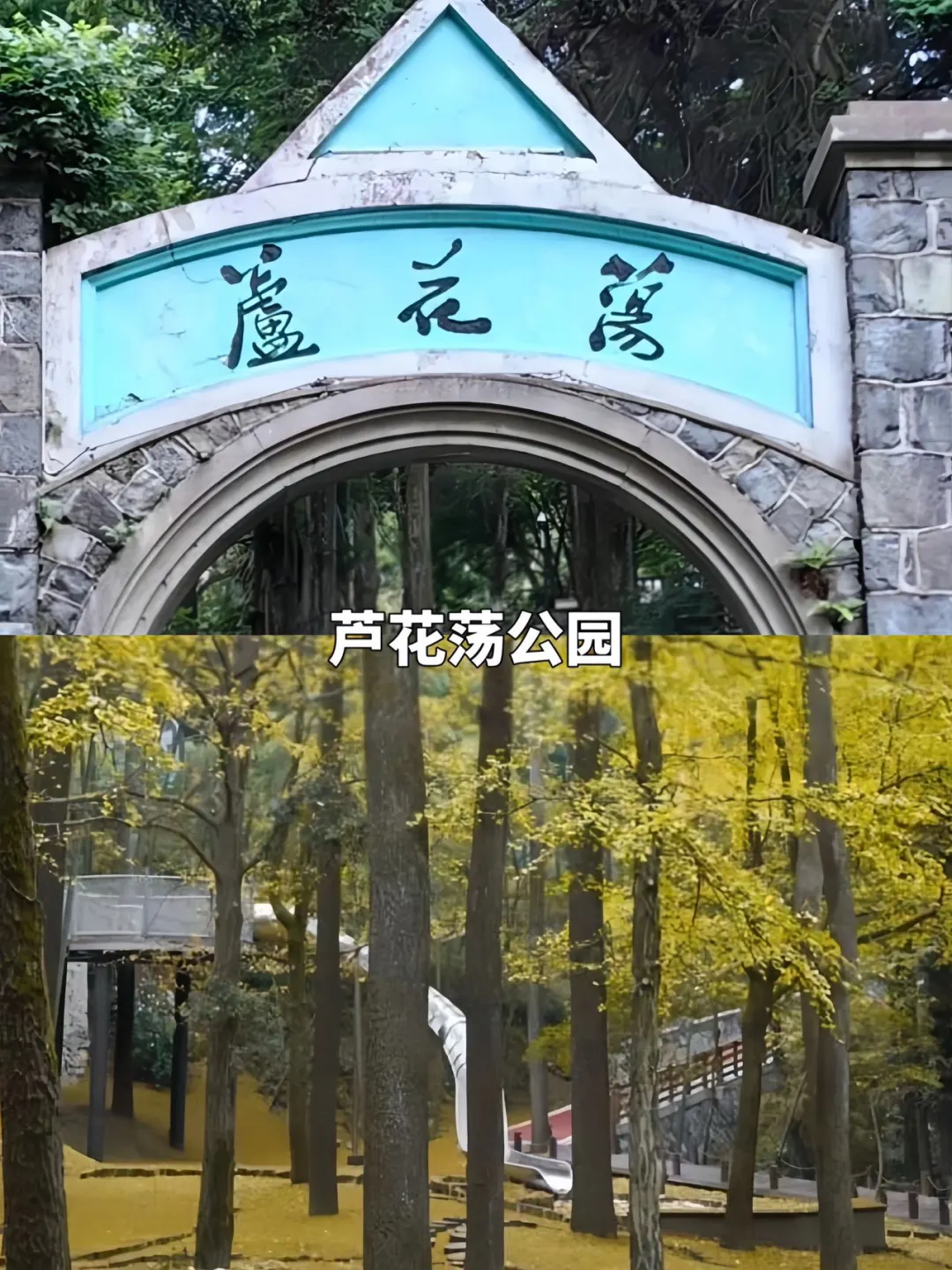 莫干山9️⃣大必打卡赏秋景点攻略躺看秋色