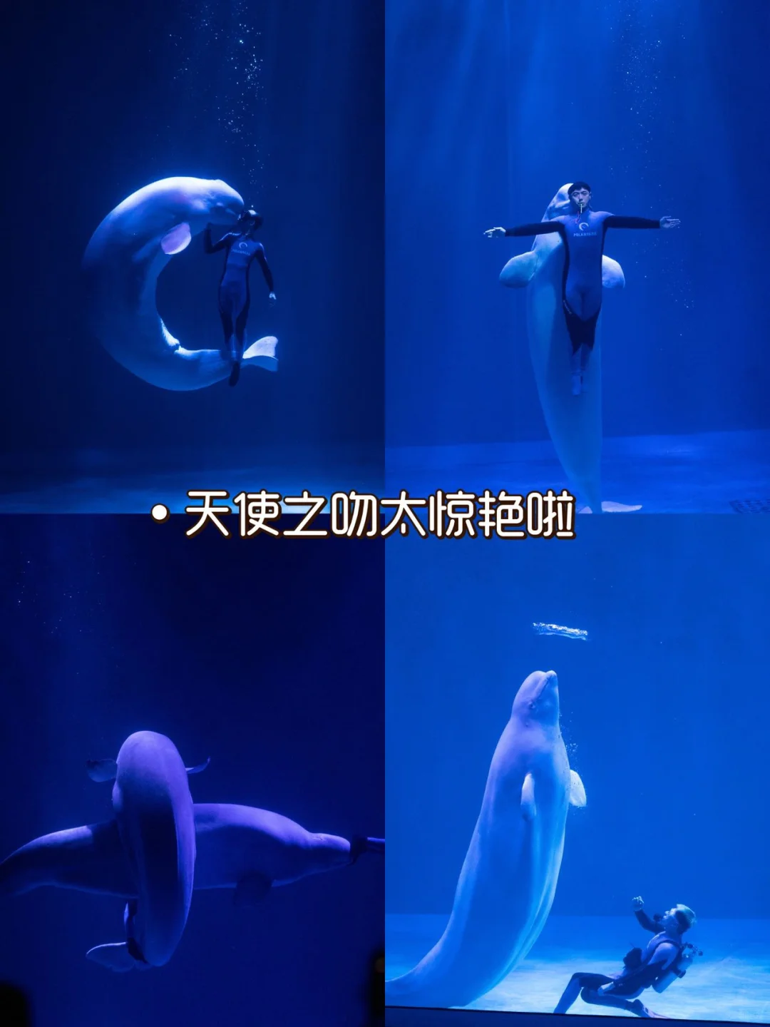 哈尔滨五天悠哉亲子游|轻松不累真实攻略