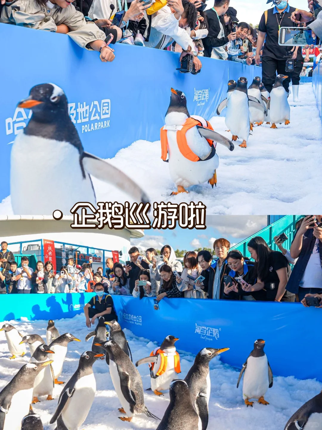 哈尔滨五天悠哉亲子游|轻松不累真实攻略