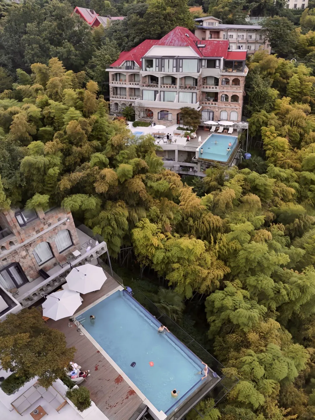 莫干山9️⃣大必打卡赏秋景点攻略躺看秋色