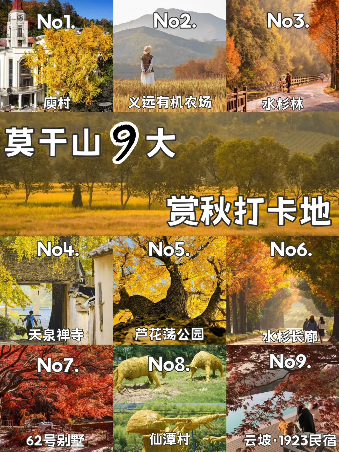 莫干山9️⃣大必打卡赏秋景点攻略躺看秋色