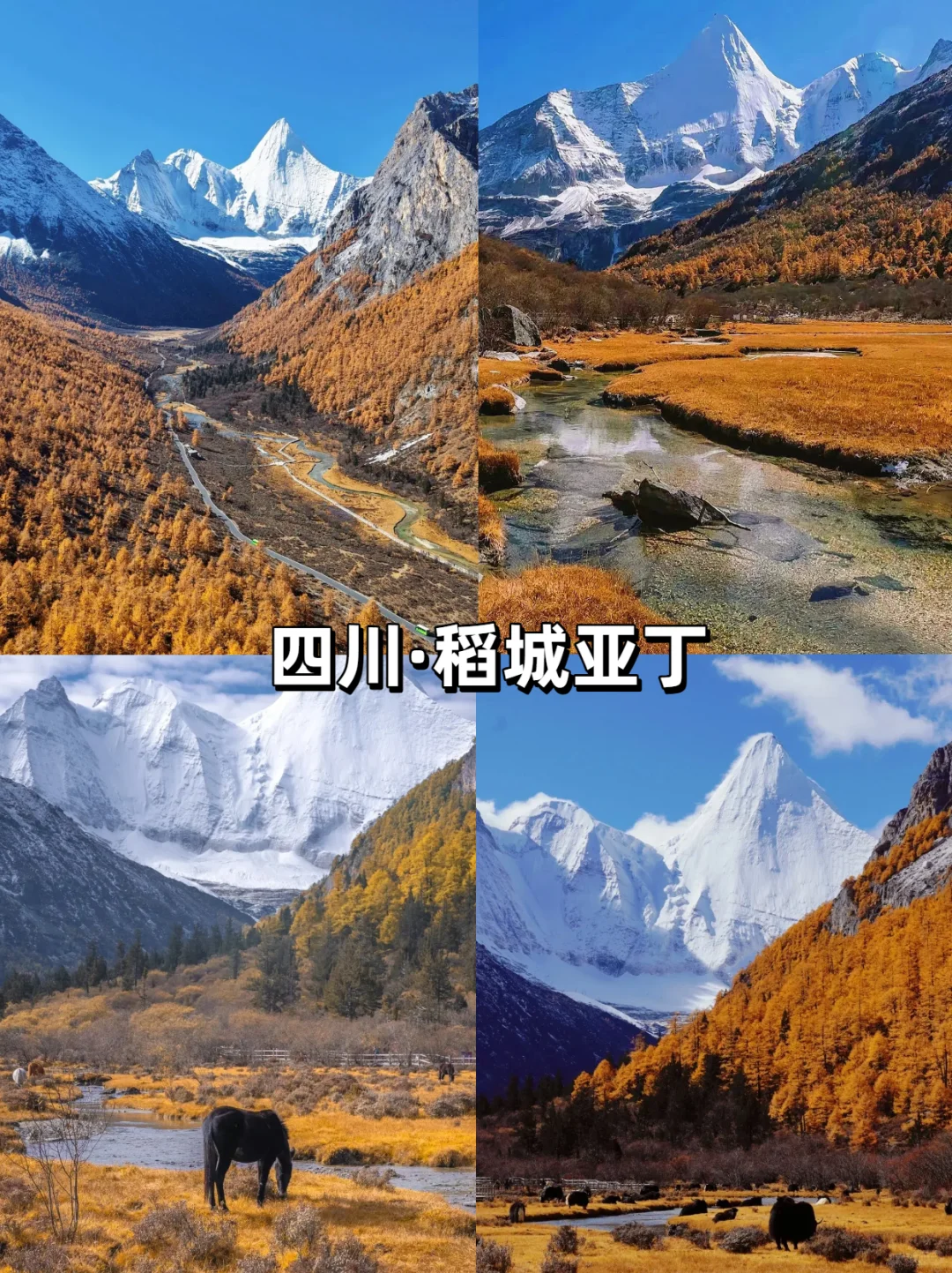 【10-11月国内旅行天花板】最后一个绝