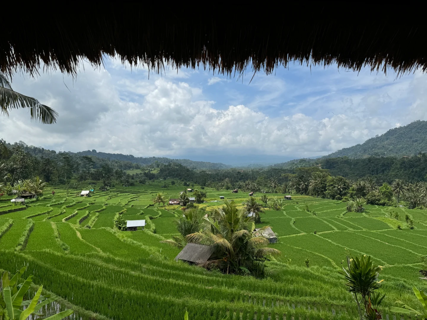 乌布梯田小众景点：Sidemen梯田攻略