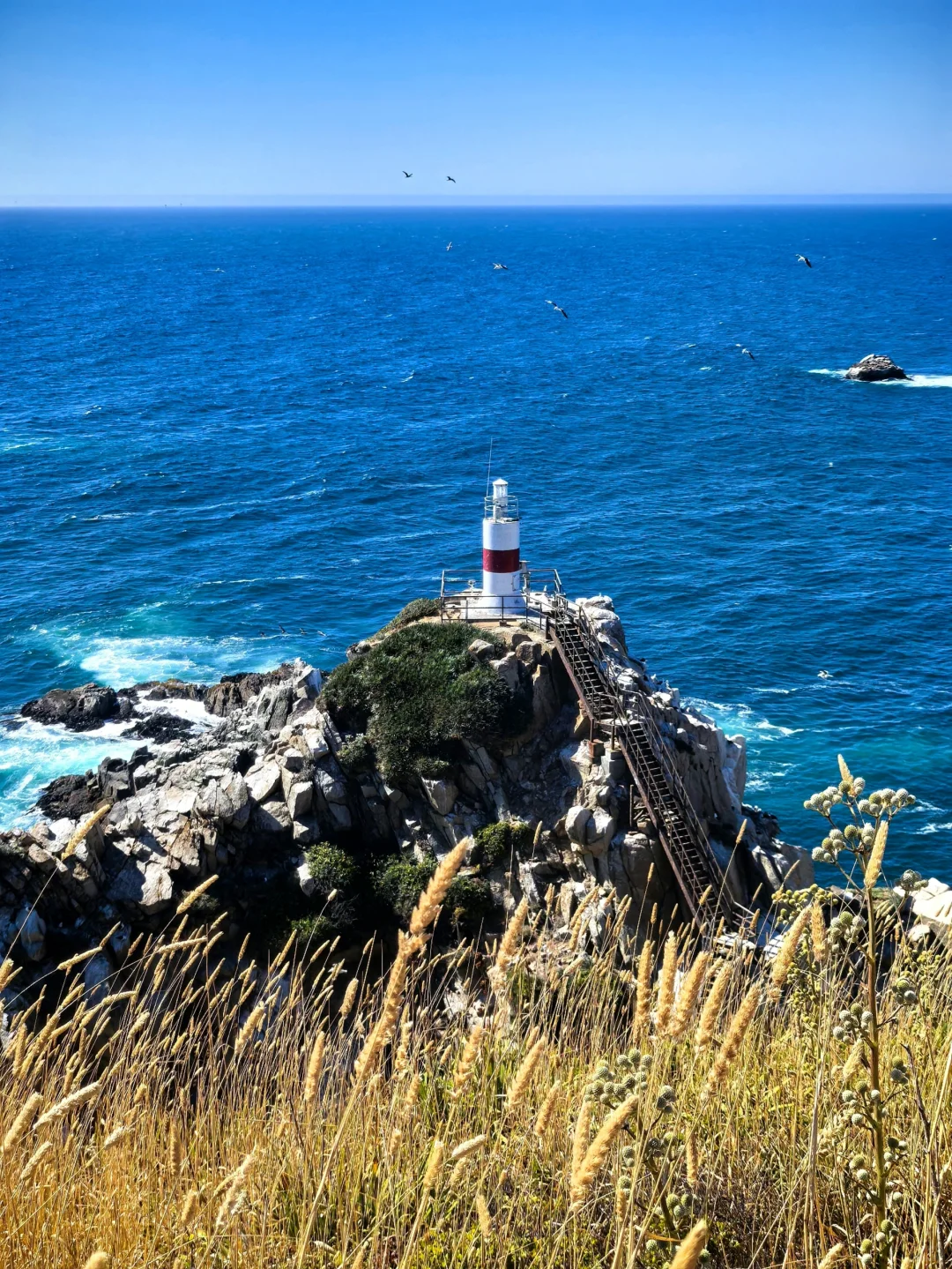 🇨🇱智利-康塞普西翁Concepción