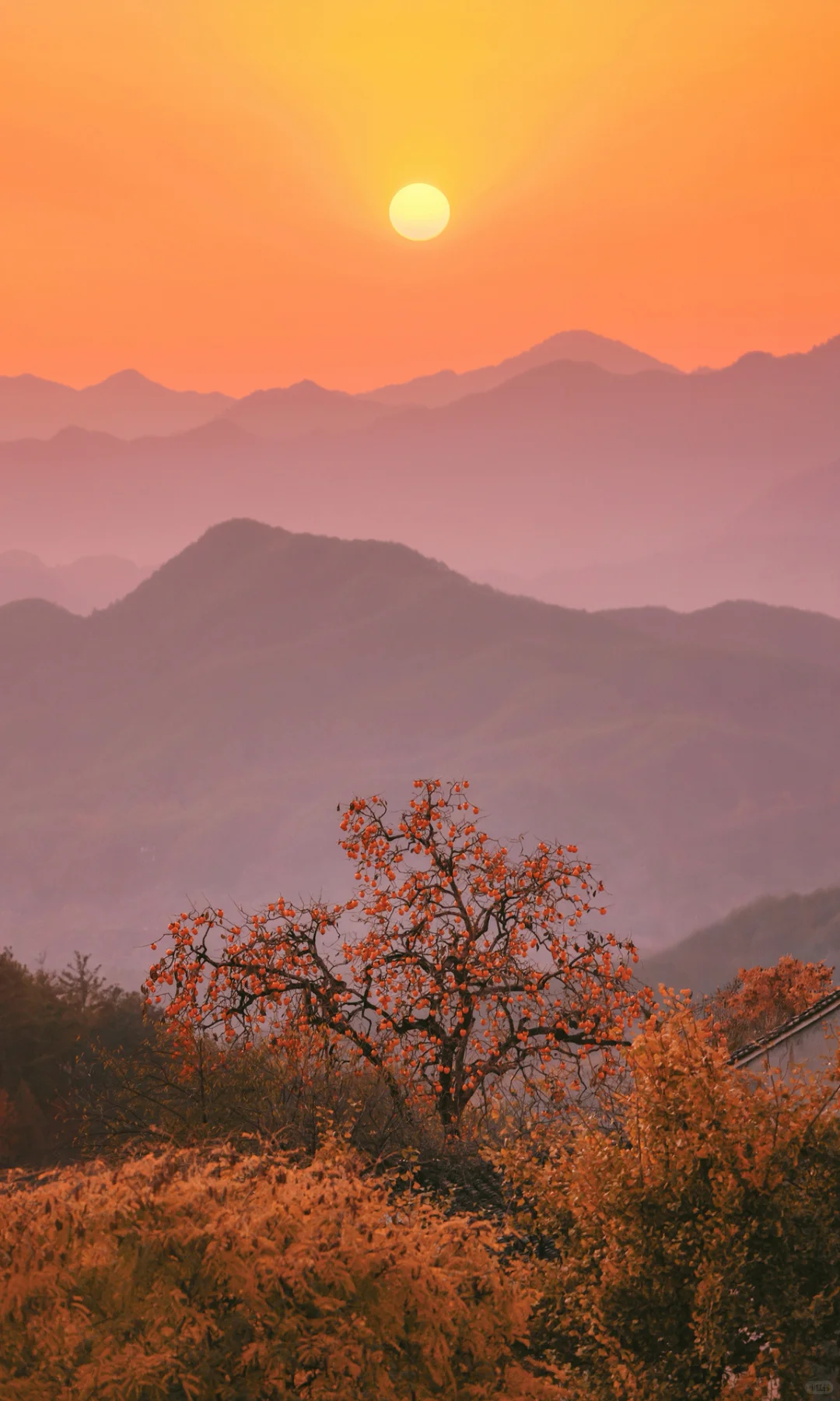 接下来是徽州封神的秋天,期待值已经拉满了!