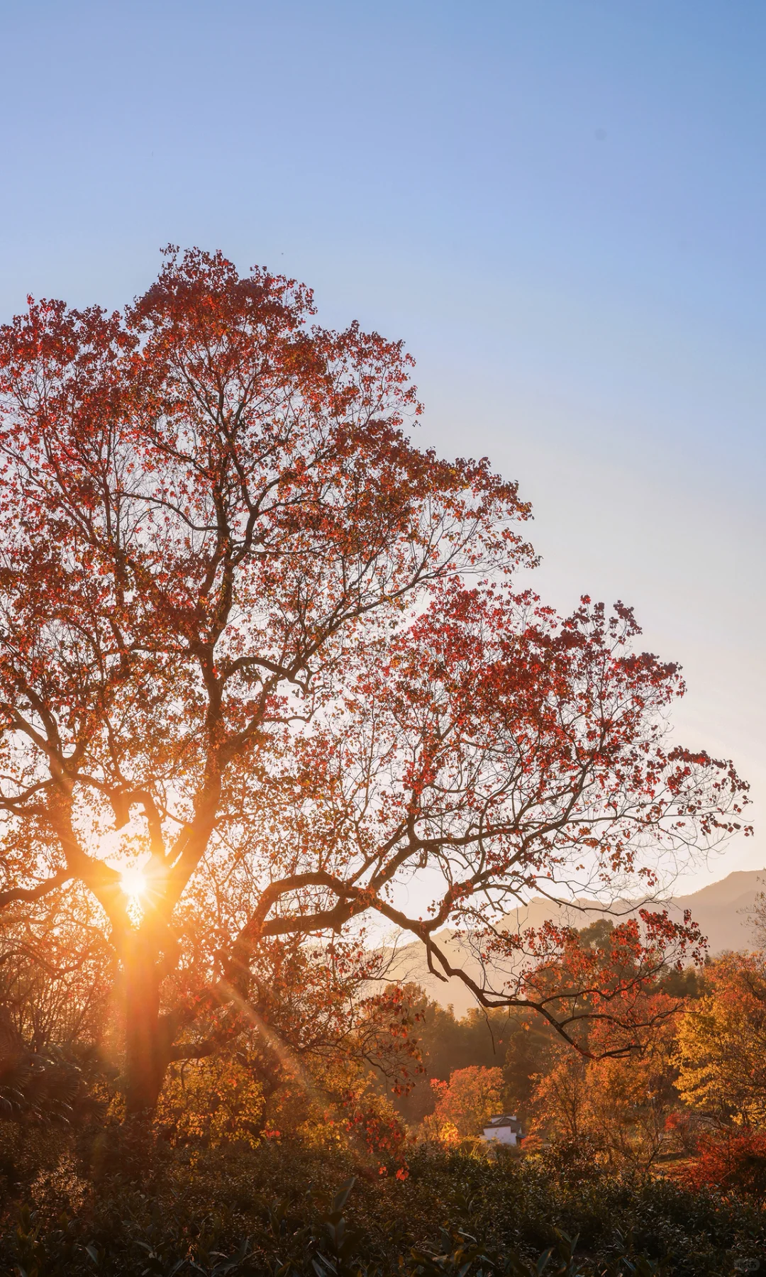 接下来是徽州封神的秋天,期待值已经拉满了!