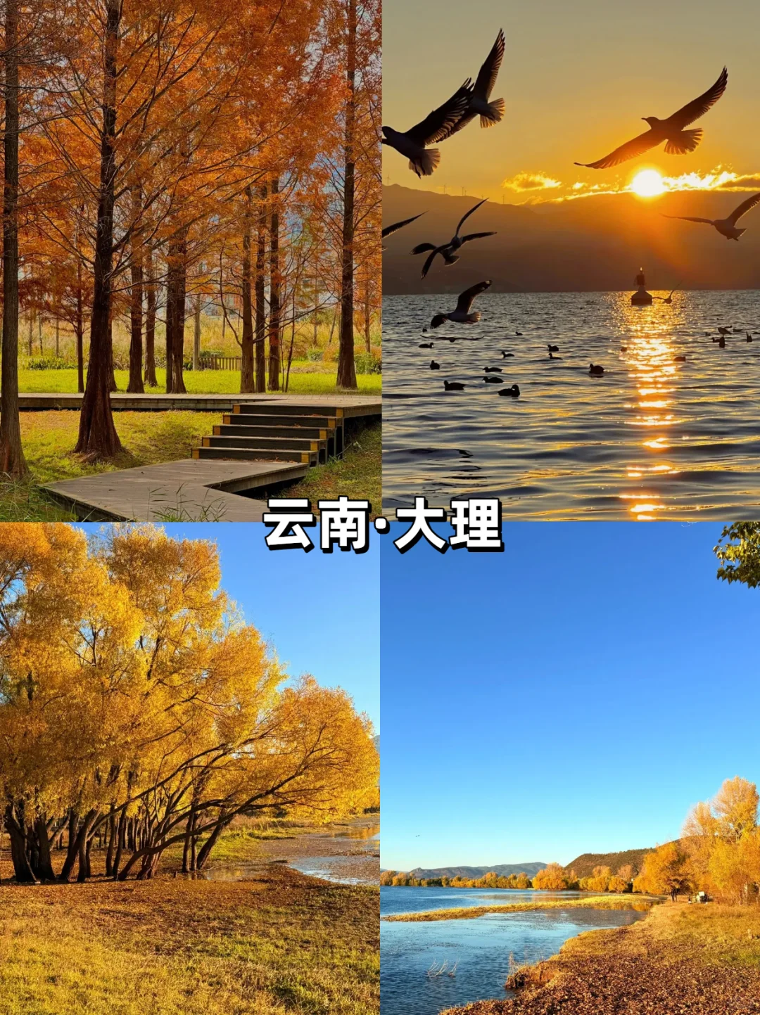 【10-11月国内旅行天花板】最后一个绝