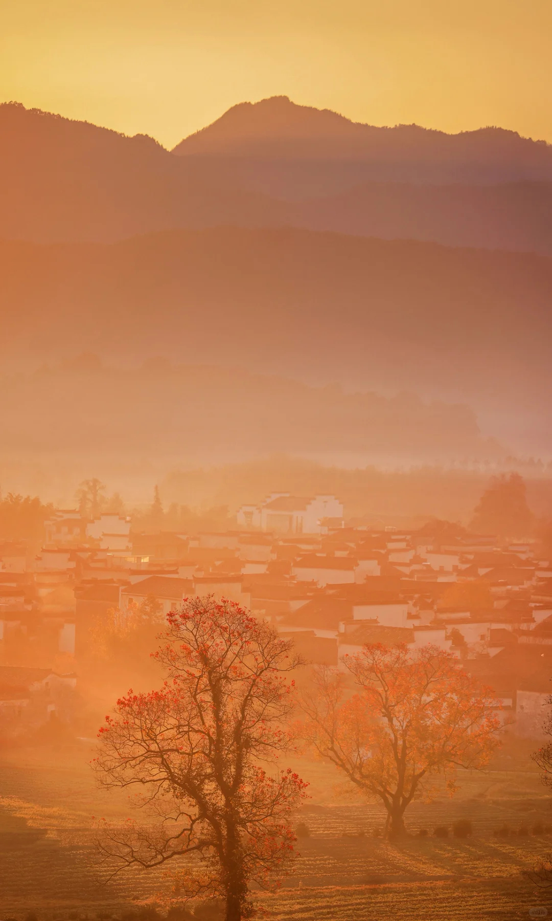 接下来是徽州封神的秋天,期待值已经拉满了!