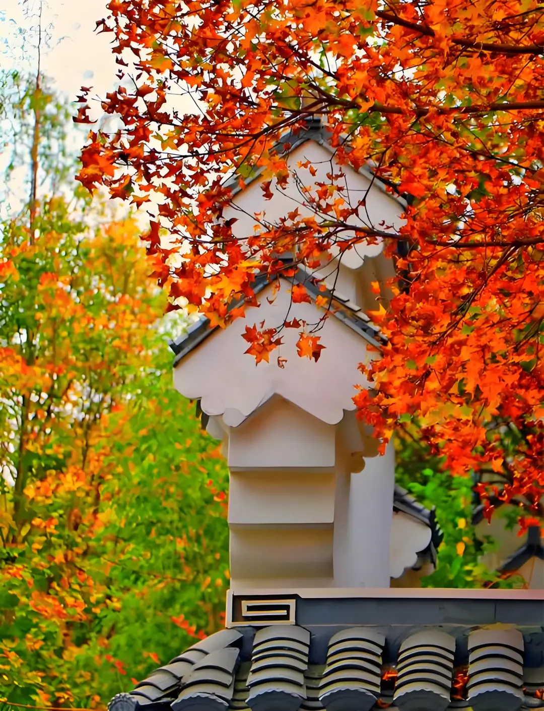 🍂 北京10大赏秋景点全景清单