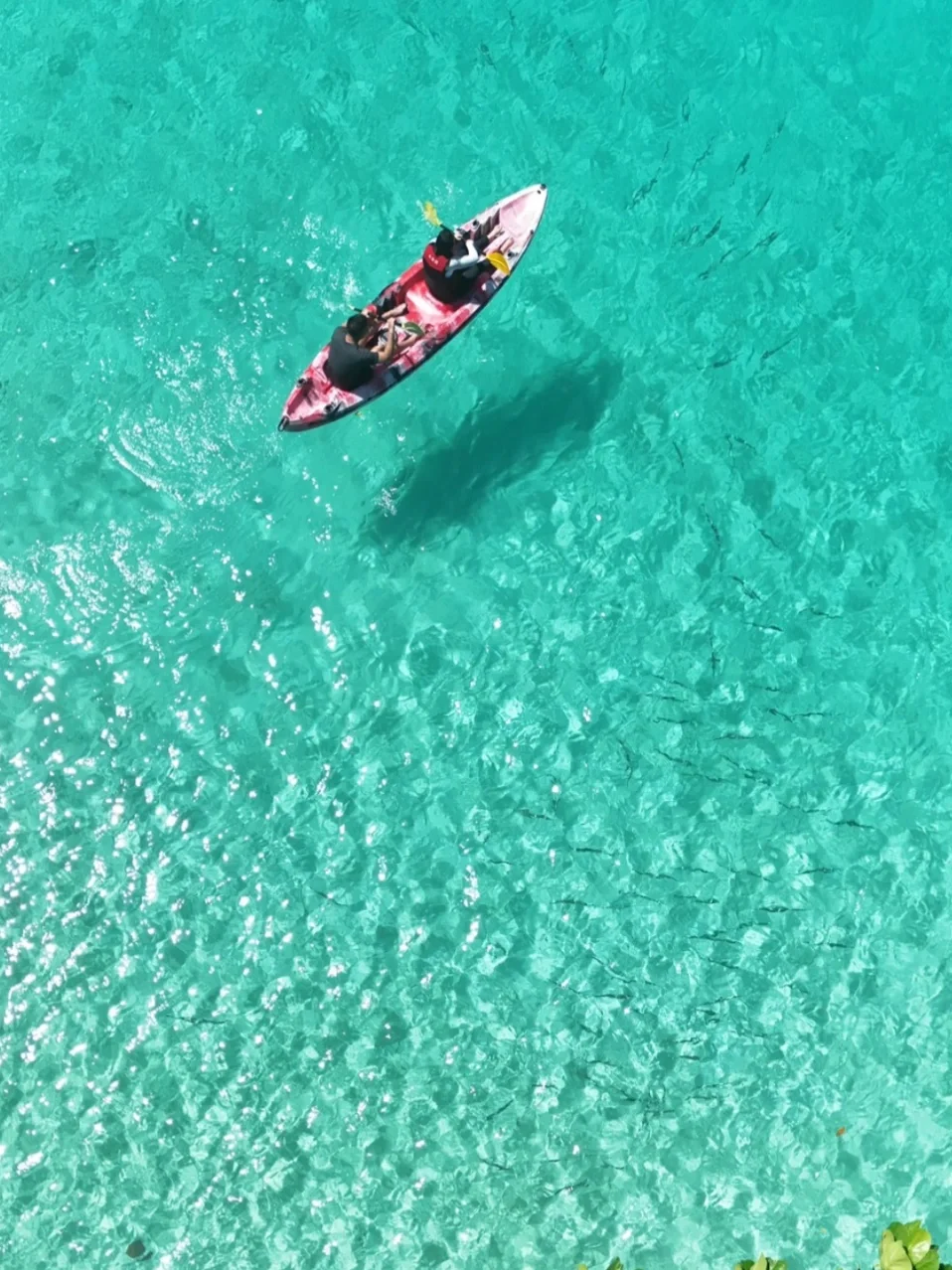 免签海岛🇵🇼机票+酒店+出海，全包6680元起