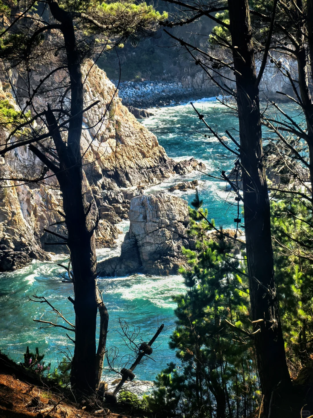 🇨🇱智利-康塞普西翁Concepción