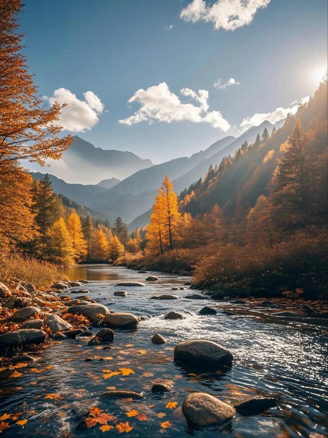 国内八座适合秋天🍂旅行的城市（附时间