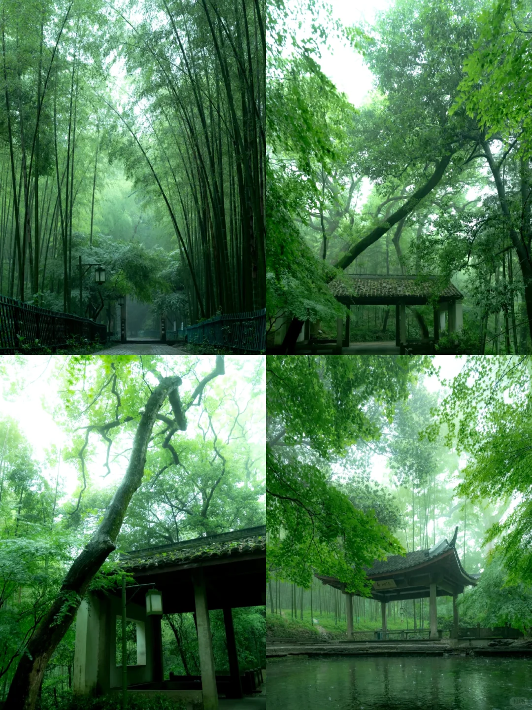 杭州最值得去的9个景点合集🔥出片率100%!