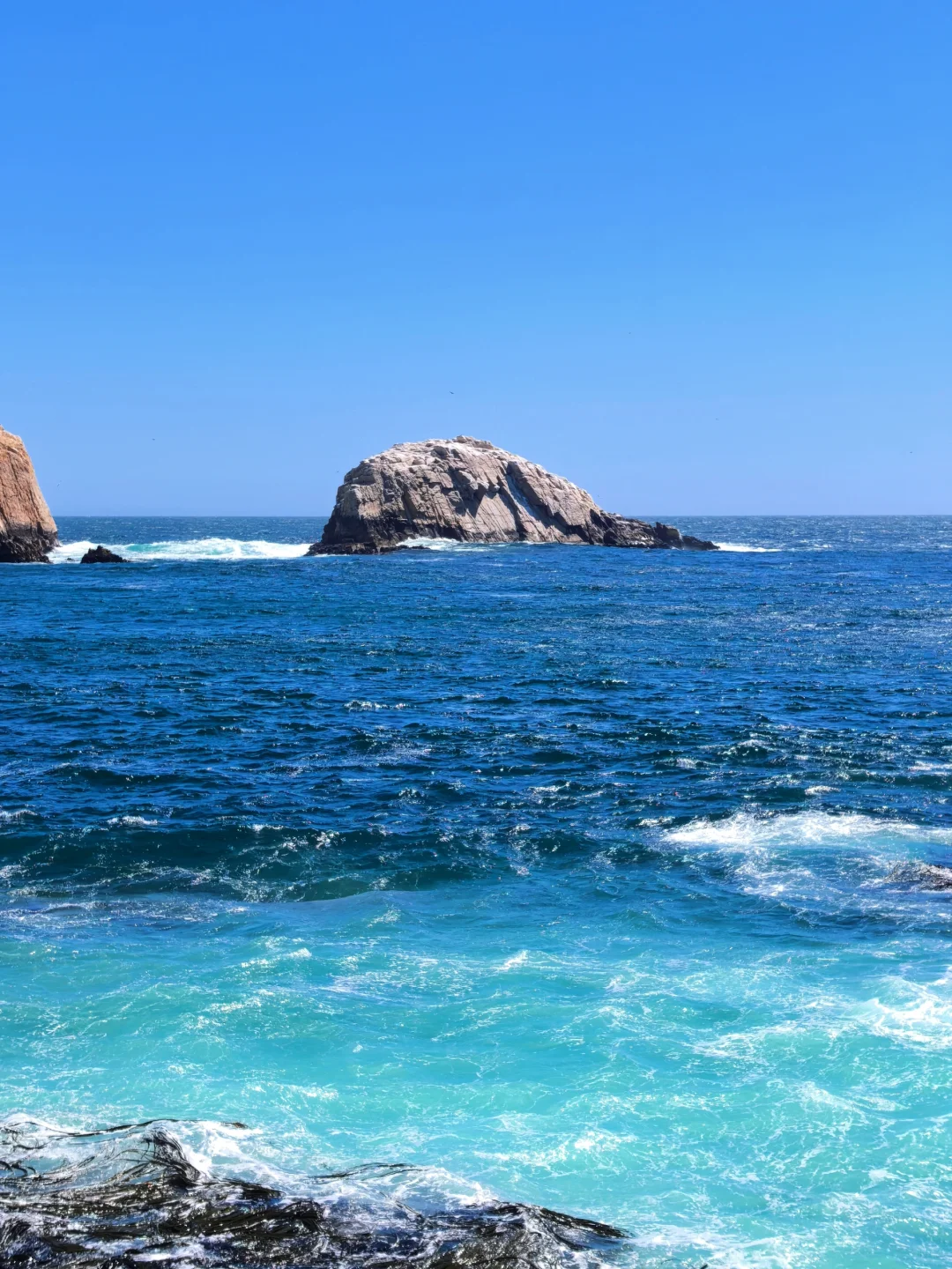 🇨🇱智利-康塞普西翁Concepción