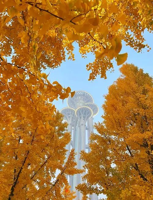🍂 北京10大赏秋景点全景清单
