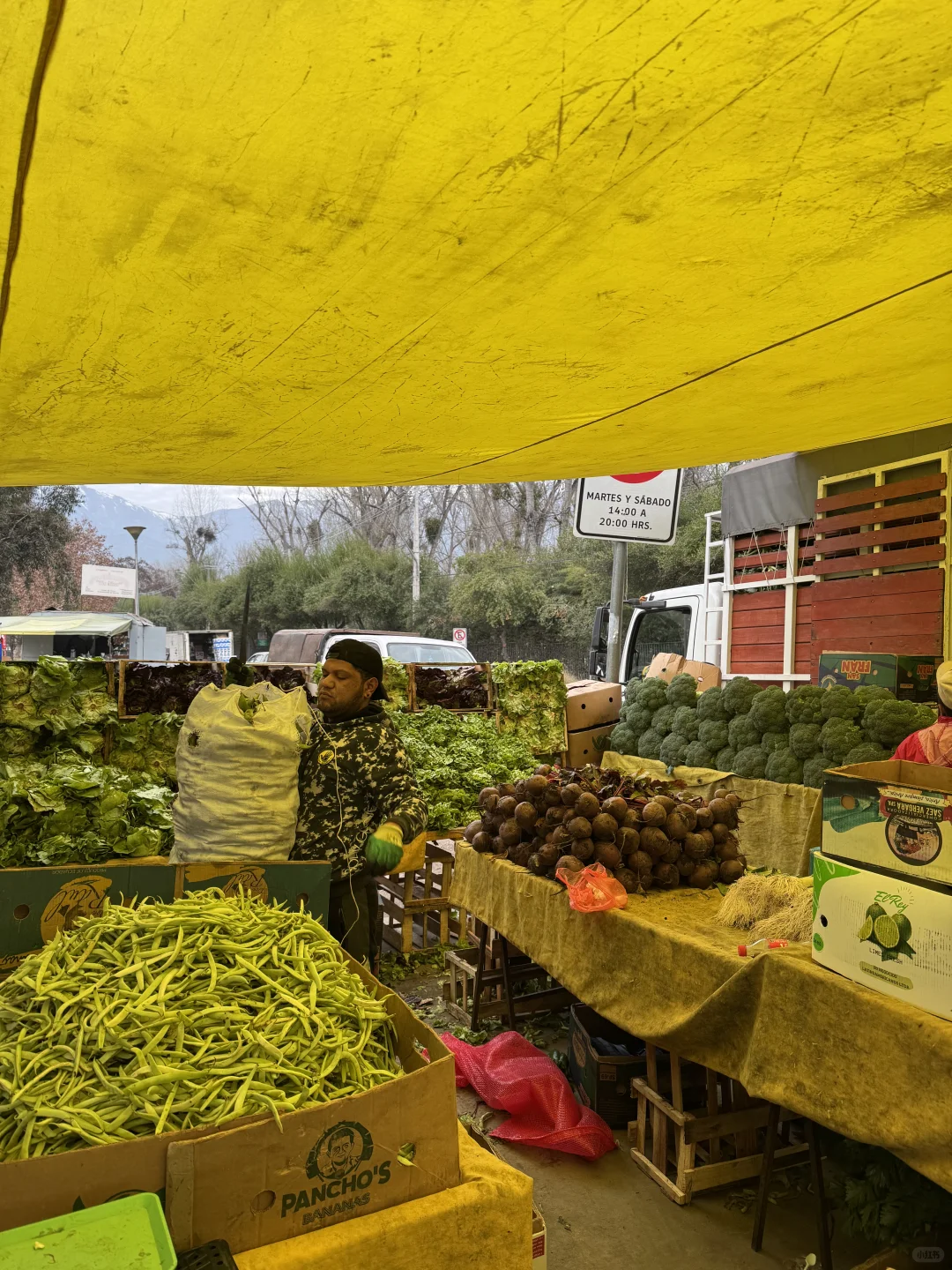 🇨🇱智利东区别再去超市买菜和水果了❗来这