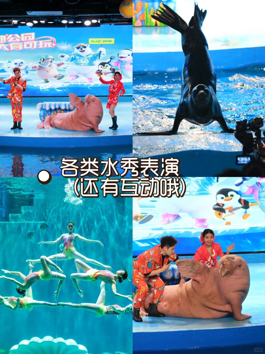 哈尔滨五天悠哉亲子游|轻松不累真实攻略