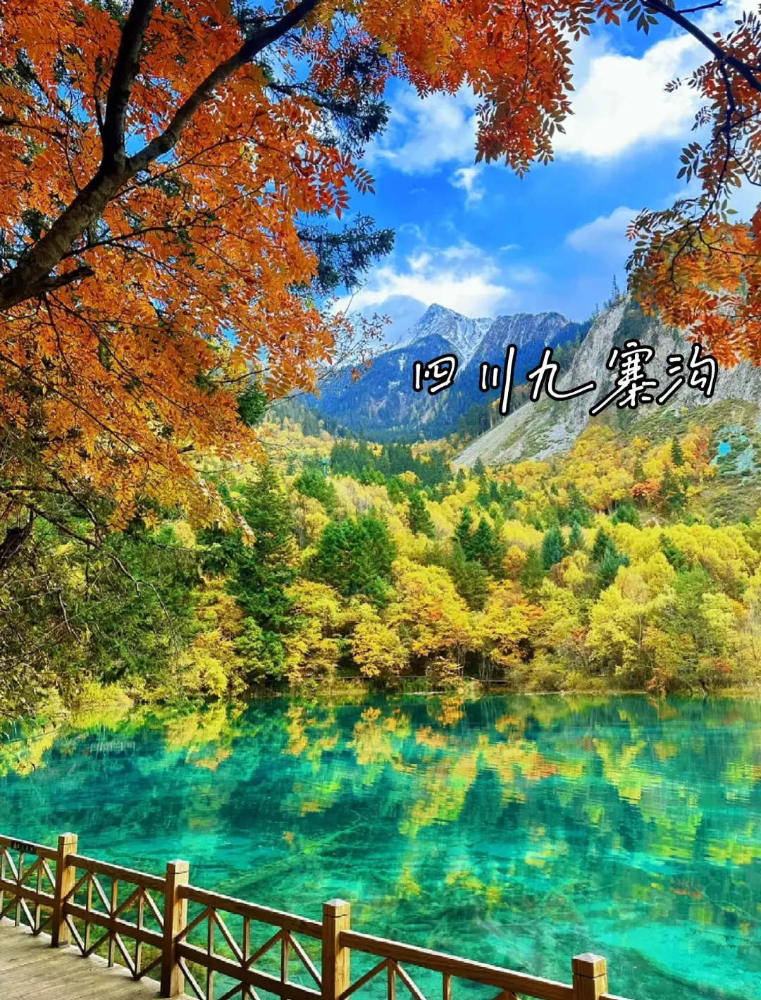 推荐8个✅适合9-11月去的封神赏秋地🍂