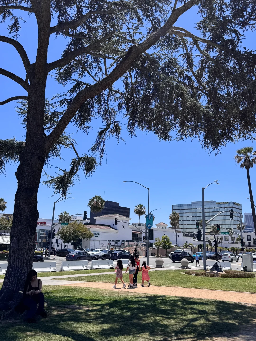 🇺🇸号称世界上z贵的一条街 比弗利山庄🌆