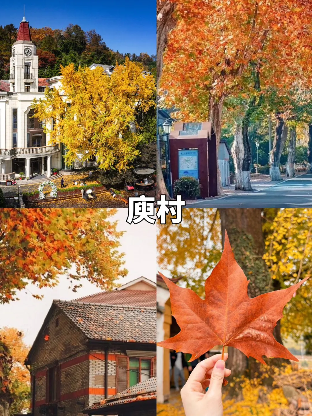 莫干山9️⃣大必打卡赏秋景点攻略躺看秋色