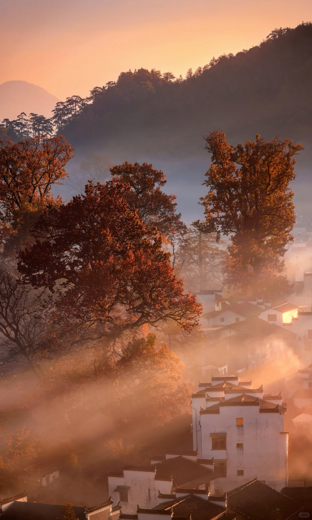 接下来是徽州封神的秋天,期待值已经拉满了!