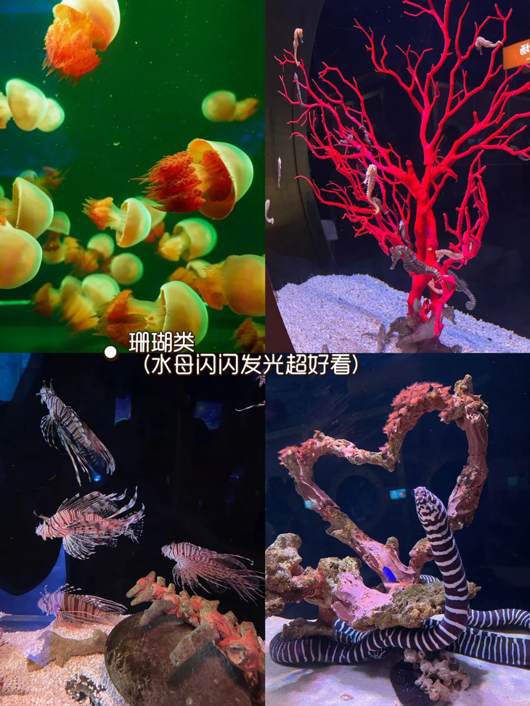 哈尔滨五天悠哉亲子游|轻松不累真实攻略