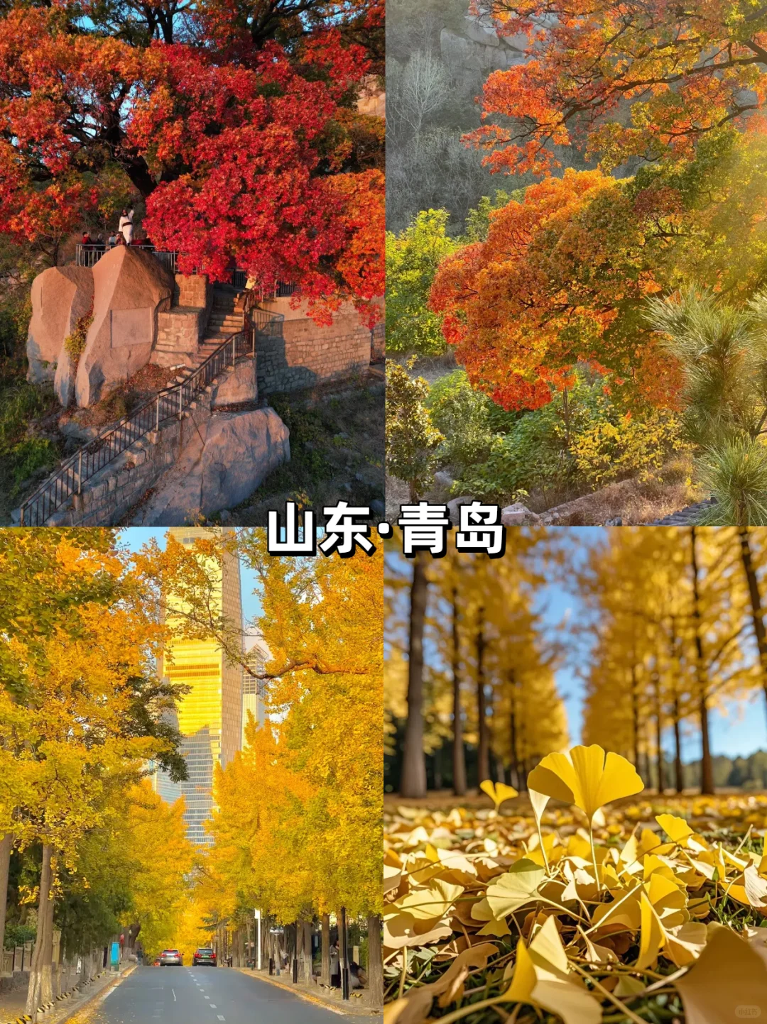 【10-11月国内旅行天花板】最后一个绝