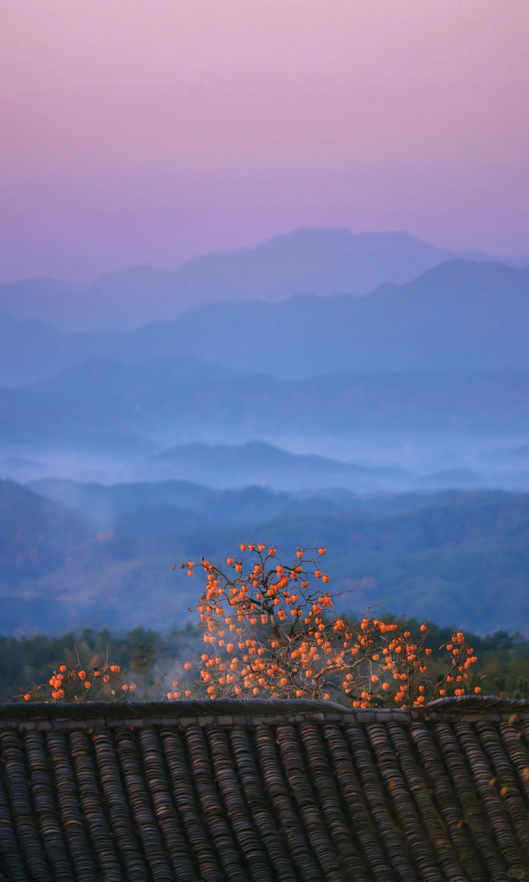 接下来是徽州封神的秋天,期待值已经拉满了!