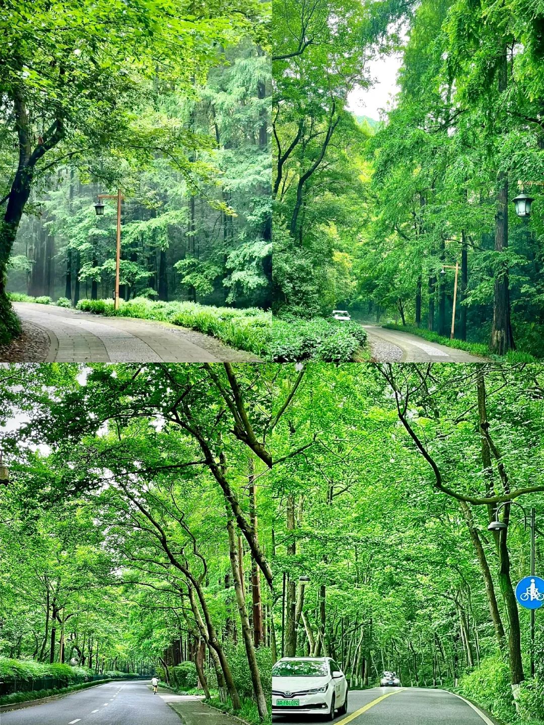 杭州最值得去的9个景点合集🔥出片率100%!
