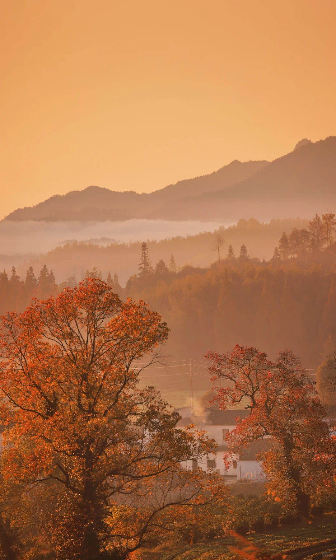 接下来是徽州封神的秋天,期待值已经拉满了!