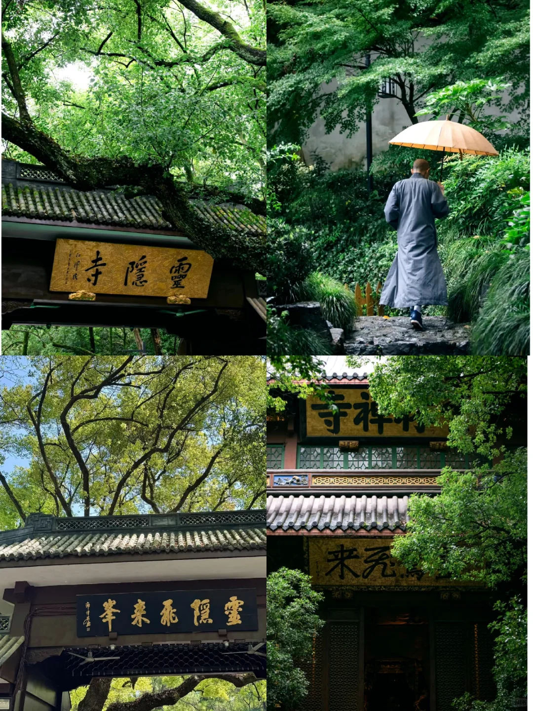 杭州最值得去的9个景点合集🔥出片率100%!