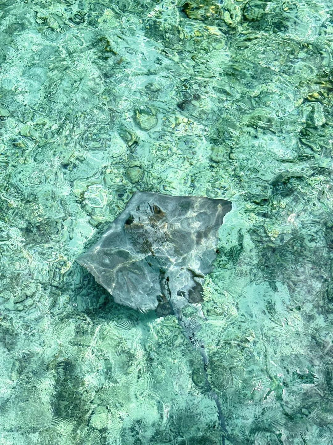 在马尔代夫🇲🇻找到了Live图的意义