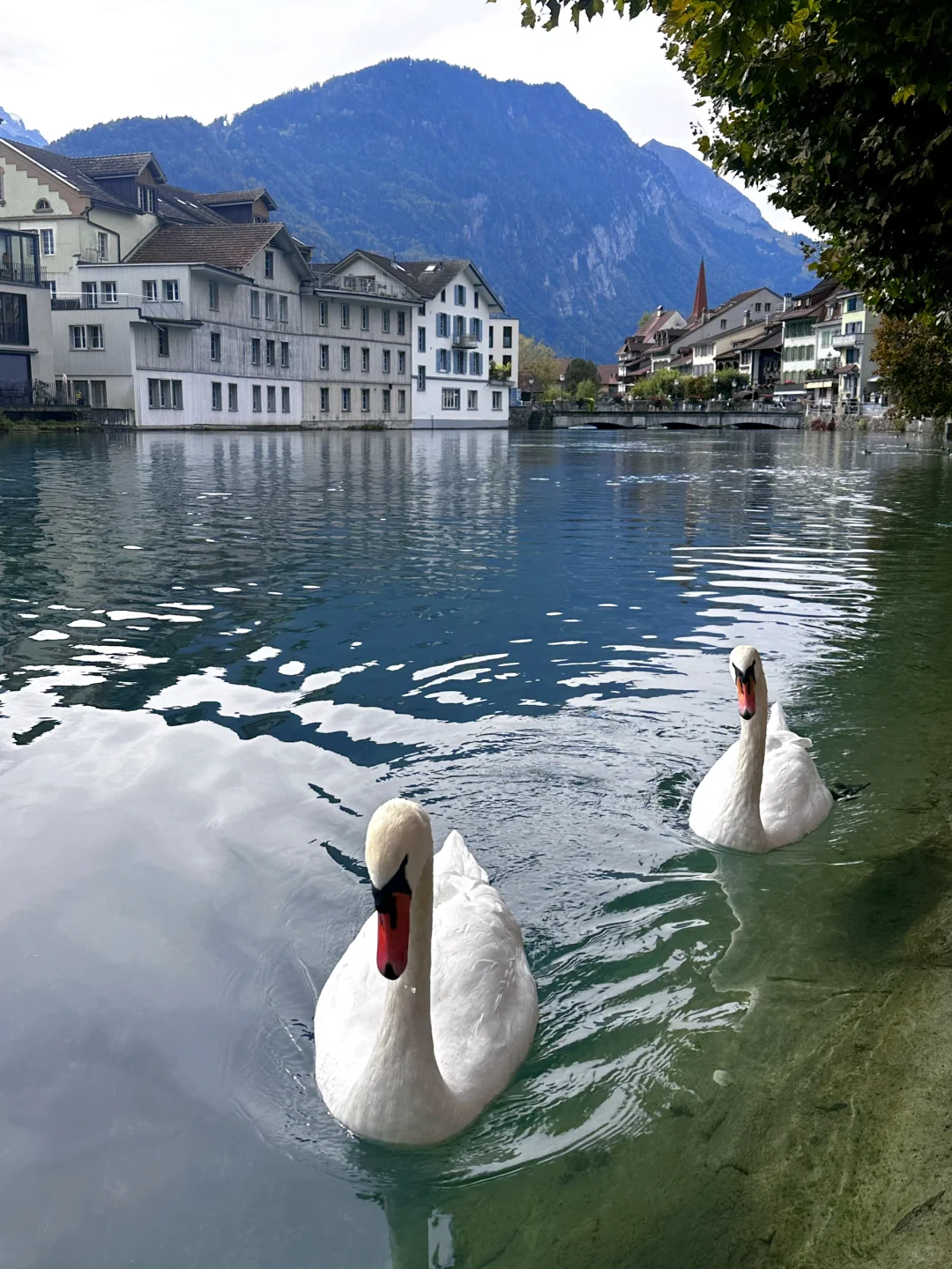瑞士🇨🇭童话小镇的超美机位