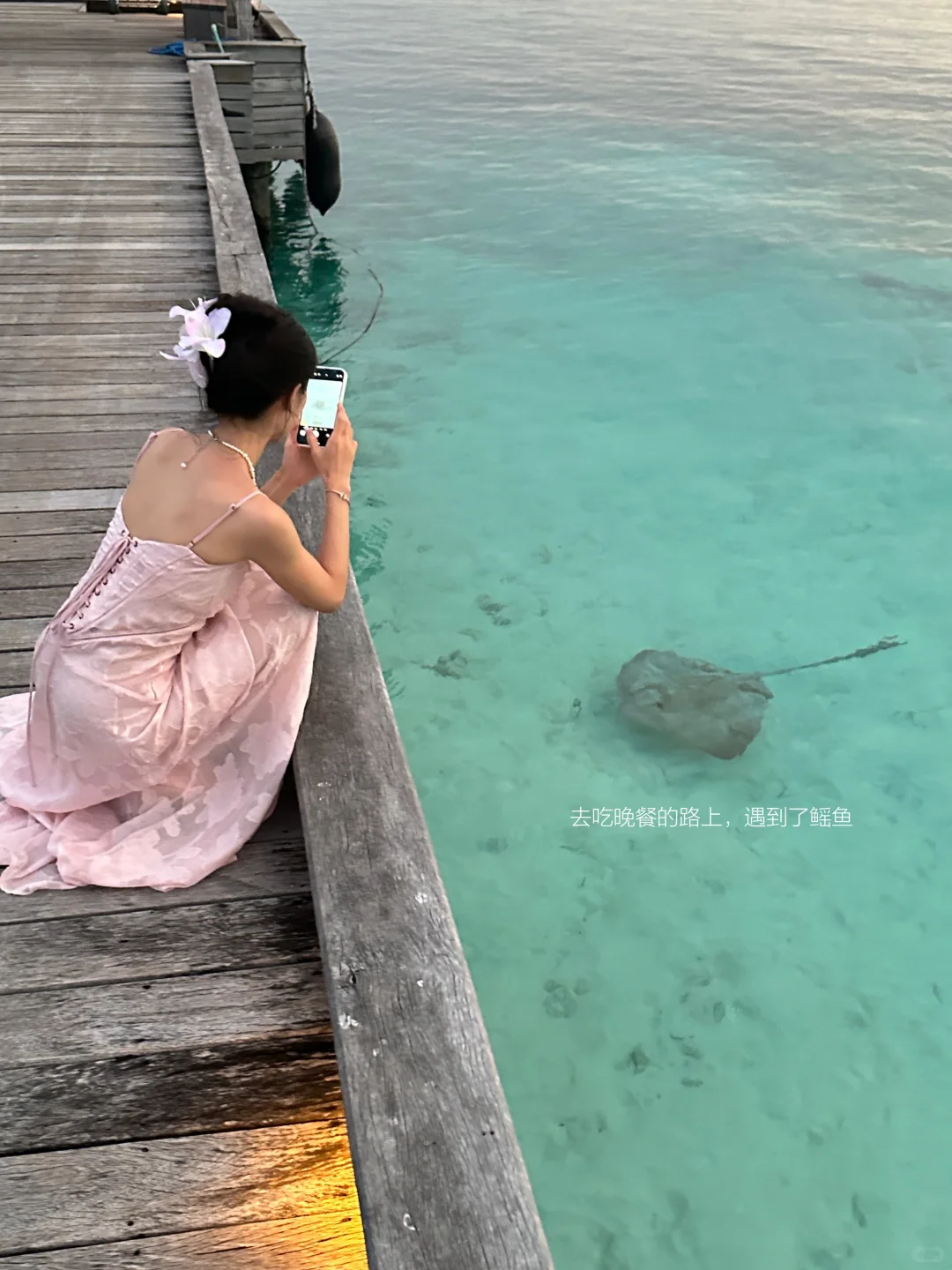 在马尔代夫🇲🇻找到了Live图的意义