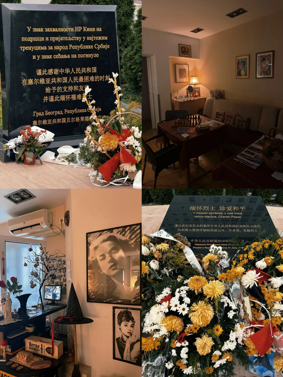 附行程‼️波塞黑保姆级攻略(懒人、小白来)