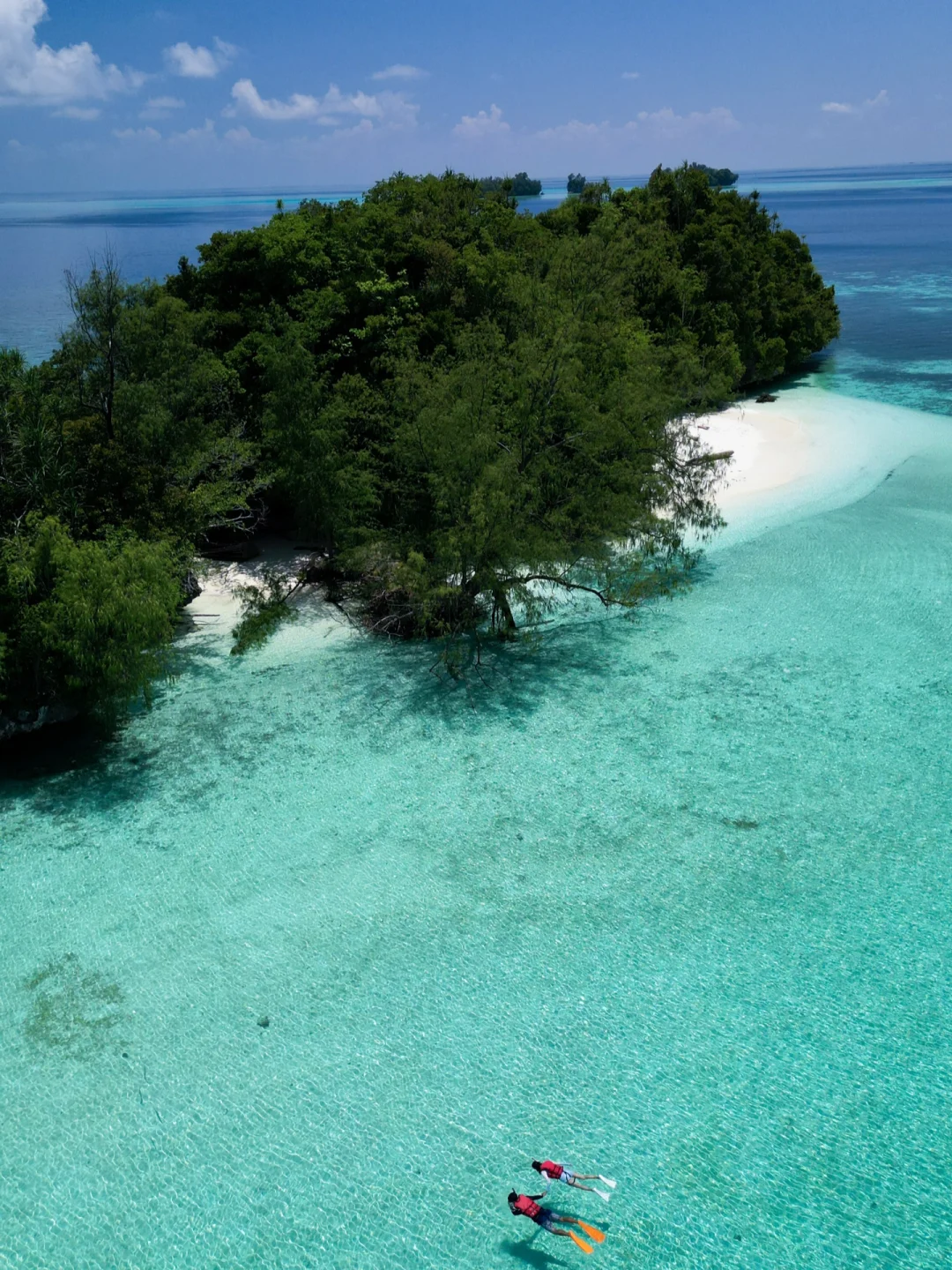 免签海岛🇵🇼机票+酒店+出海，全包6680元起