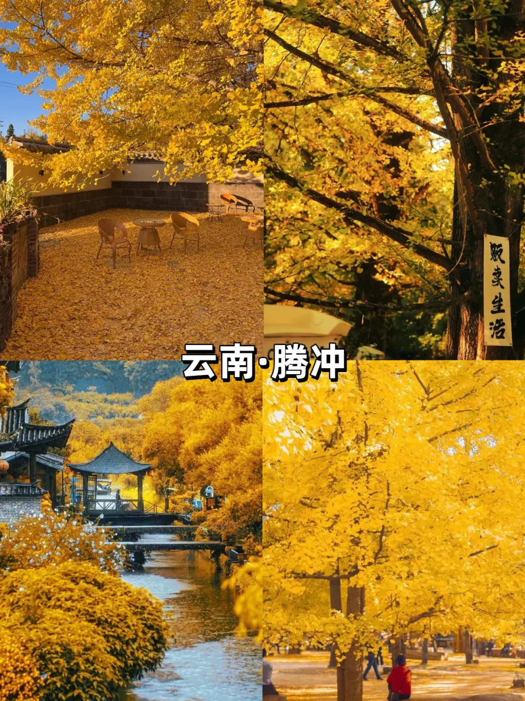 【10-11月国内旅行天花板】最后一个绝