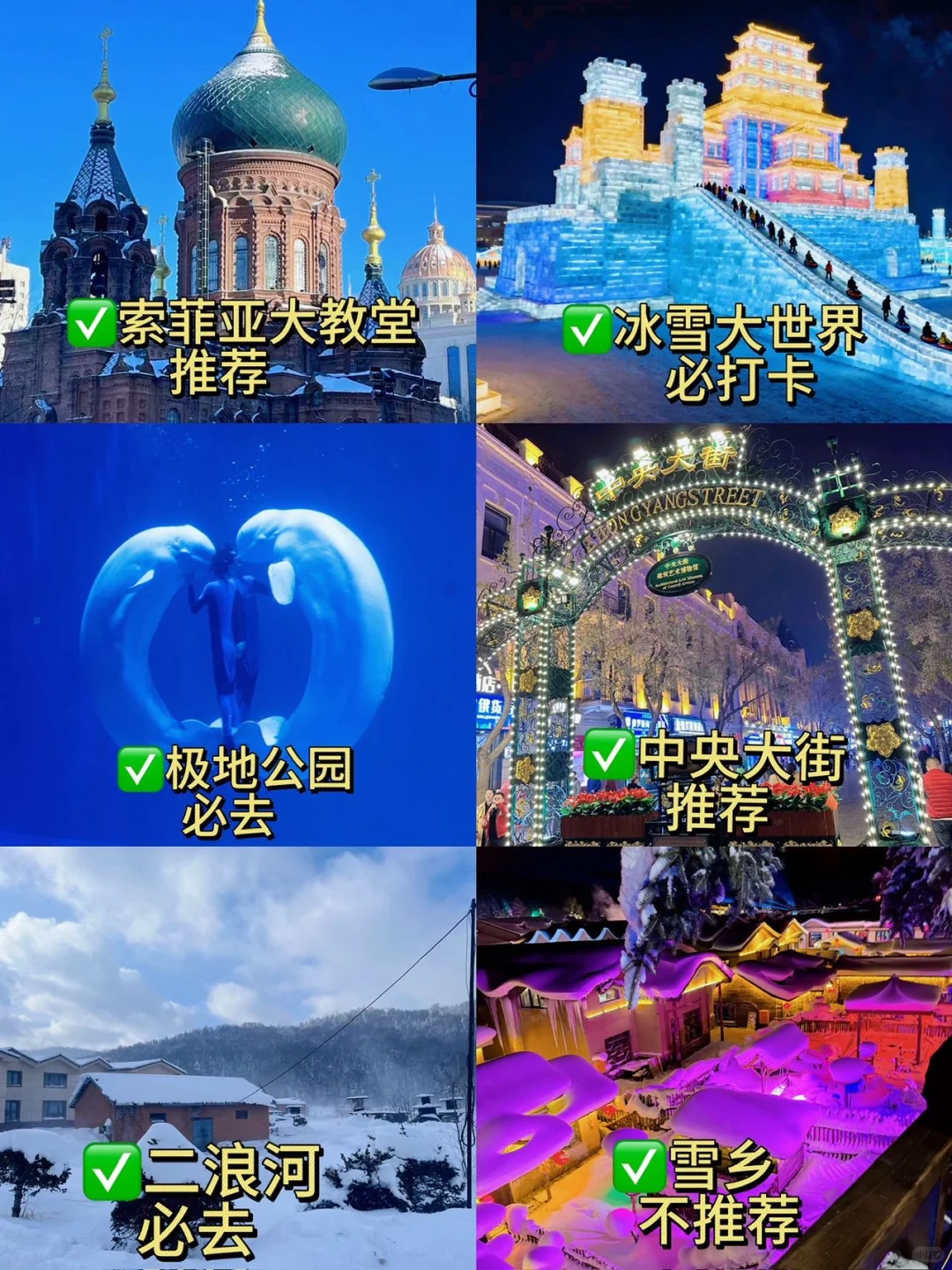 哈尔滨五天悠哉亲子游|轻松不累真实攻略